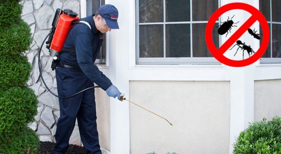 Keban Dezenfeksiyon böcek ilaçlama ve haşere kontrolü — ilaclama-tr.com